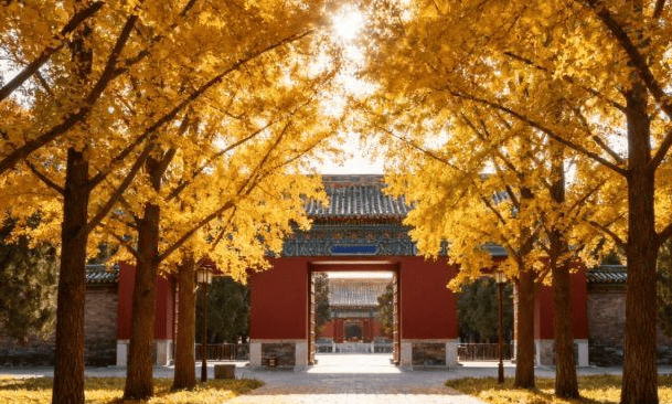 旅游 天 4 晚纯玩路线打卡地标花费透明